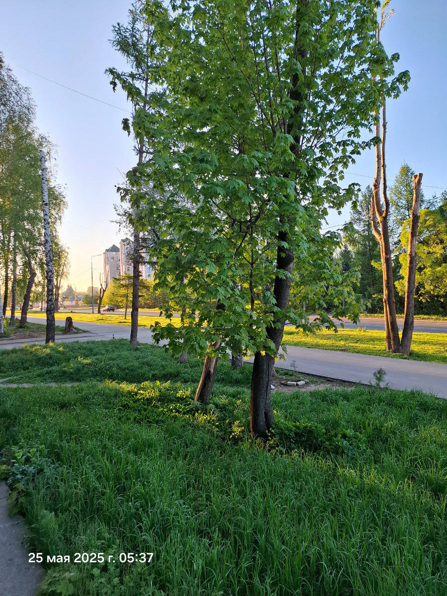 Раннее утро, оно прекрасно🤗🥰