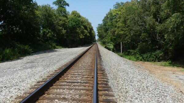    CC0 / Wally Holden /