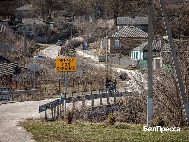 Фото: Павел Колядин
