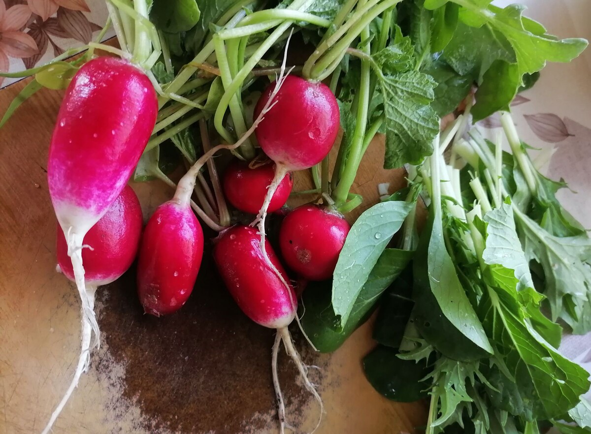 вот и первый урожай