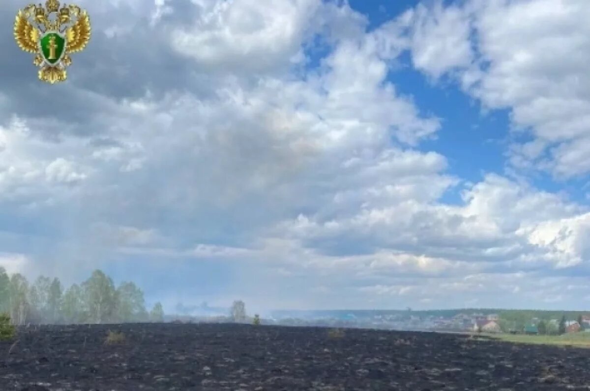    Челябинец заплатит более полумиллиона рублей за сожженные 3,5 га леса