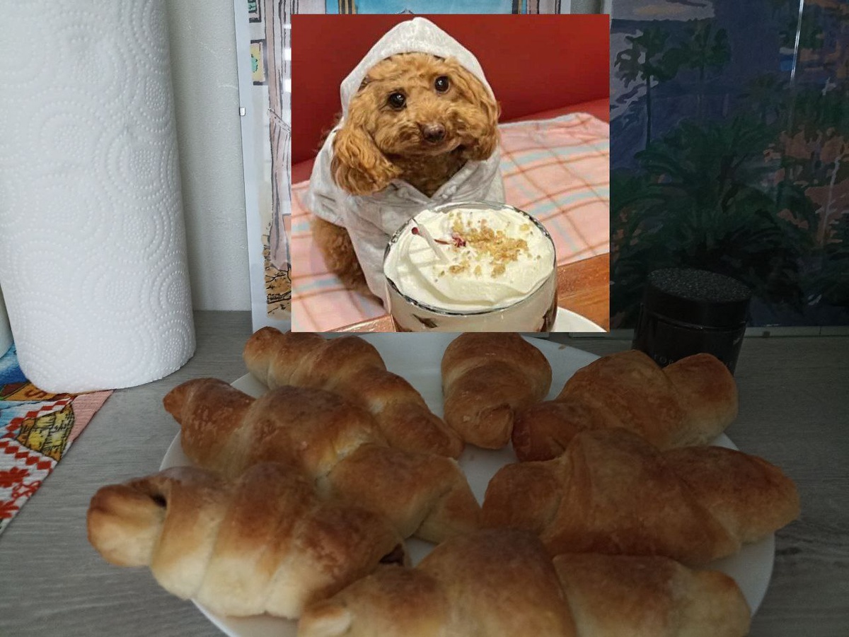 в нашем доме круассаны любят все