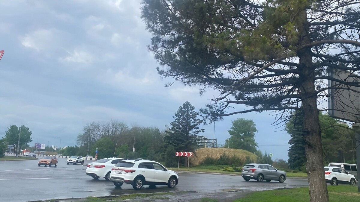     Автор: «Молот»