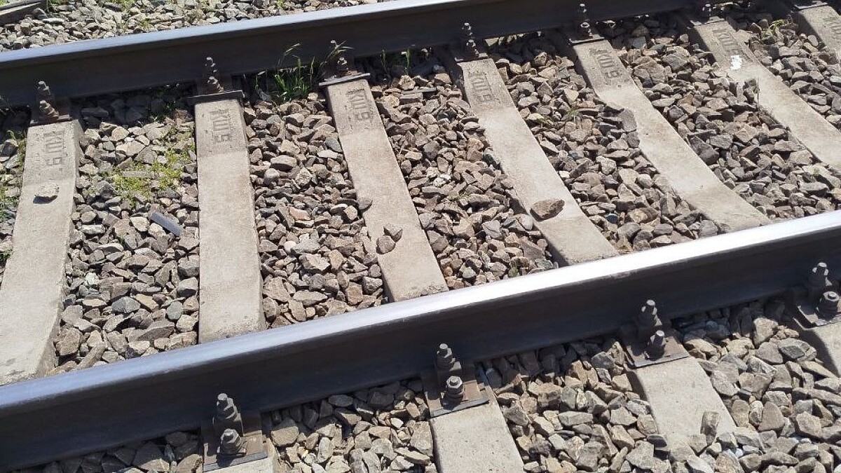    Фото: телеканал «Краснодар»