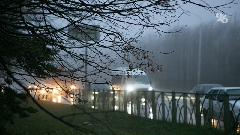      Фото: Валерия Алтухова / / ИА «Победа26»