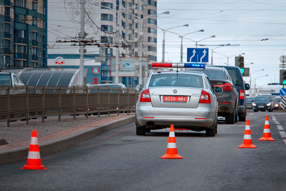    Фото: Tricky_Shark / Shutterstock.com