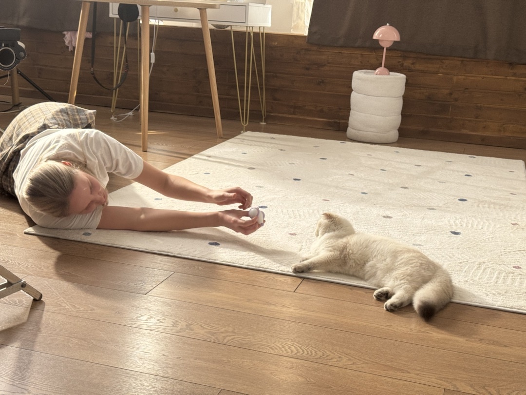 съемки рекламы для товара "интерактивная игрушка Magic mouse"