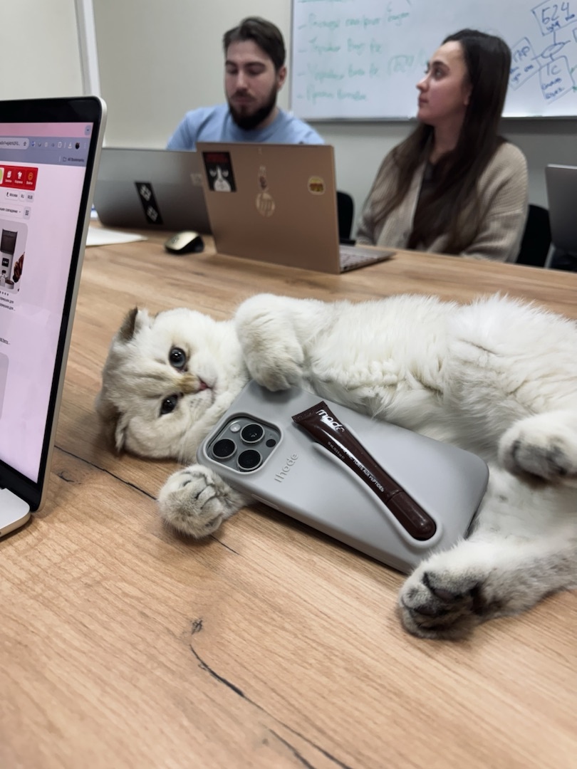 Юки на еженедельном совещании в офисе Pet Flat