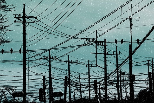    Фото: pixabay.com Ксения Евдокимова