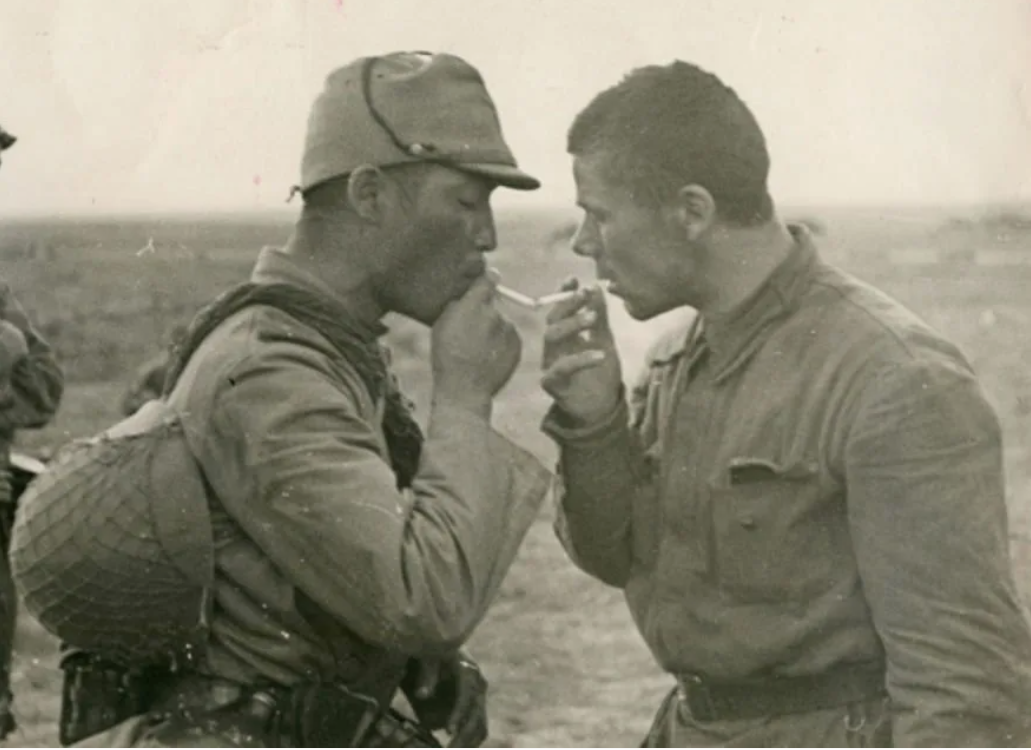     . -, 1939 . ,    .
