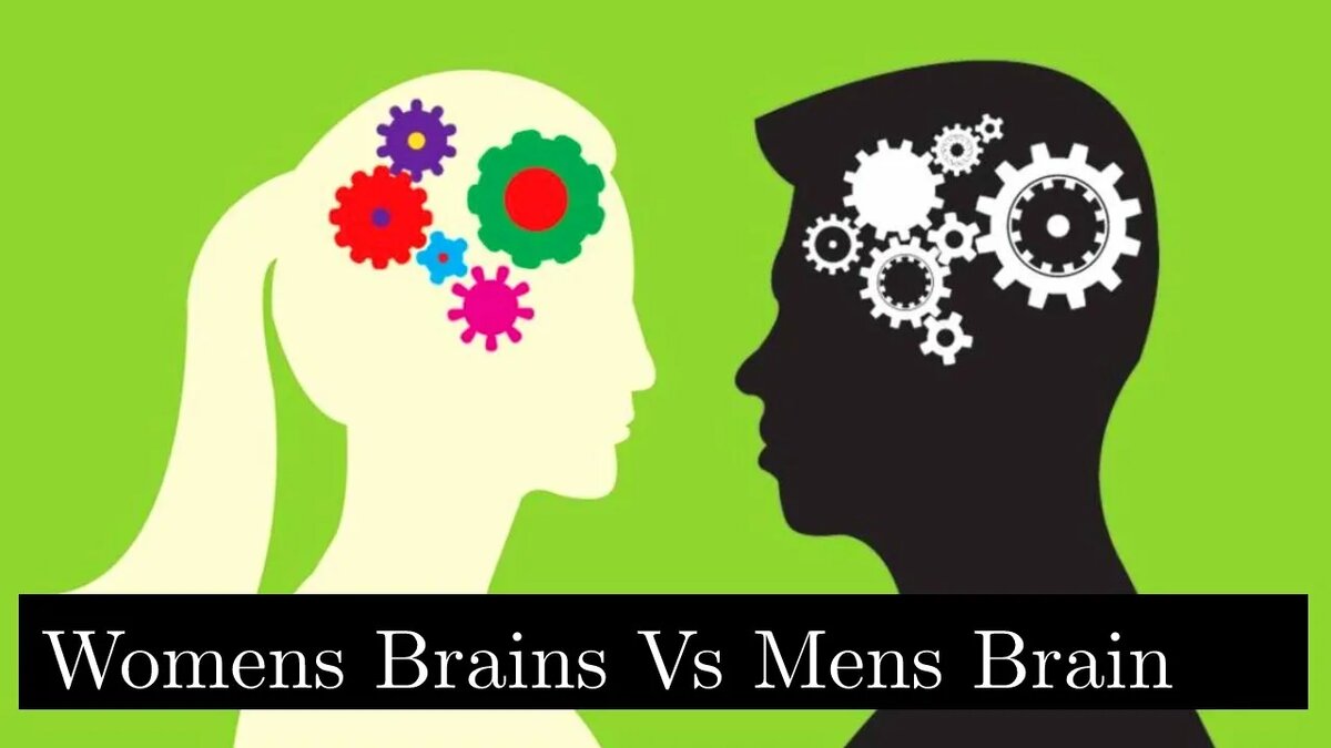 Картинка взята с просторов интернета.