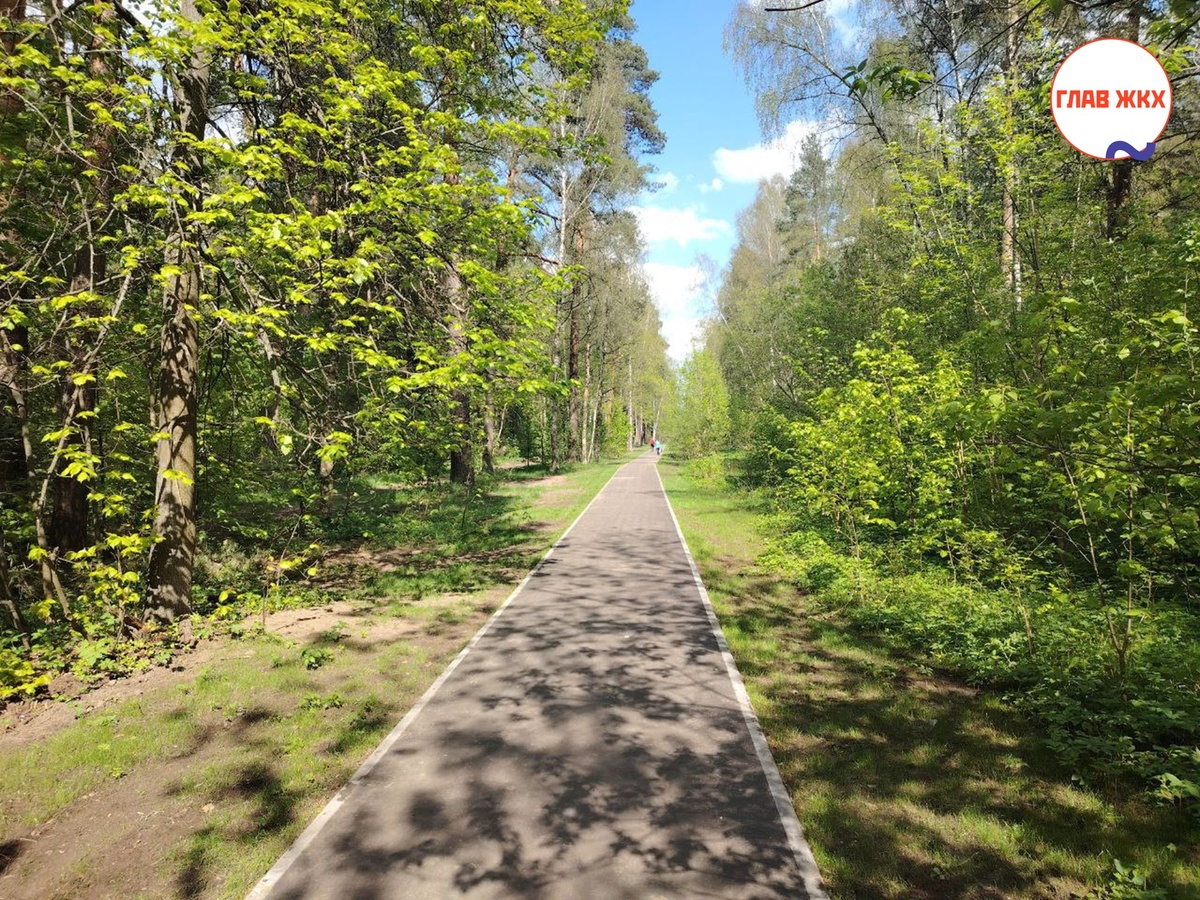 В Московской области благоустроено 111 пешеходных маршрутов и "народных троп"
