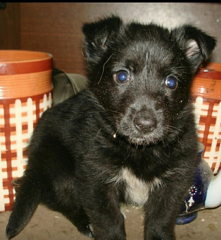 Искала её детские фото, нашла только с приюта.