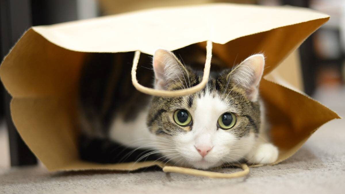    Фото: Shutterstock