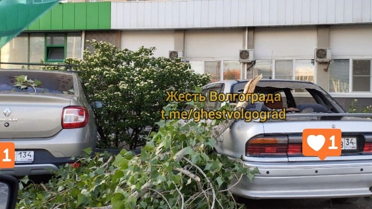     Источник: vk.com/ghest_volgograd