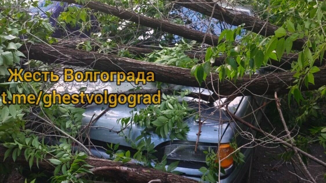     Источник: vk.com/ghest_volgograd