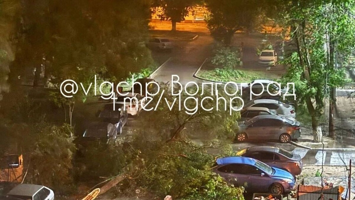     Источник: vk.com/ghest_volgograd