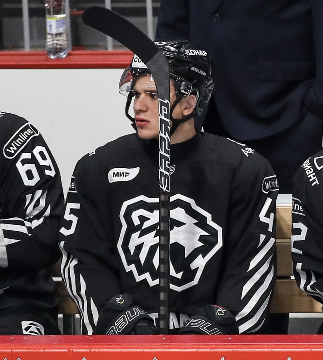 Михаил Горюнов-Рольгизер