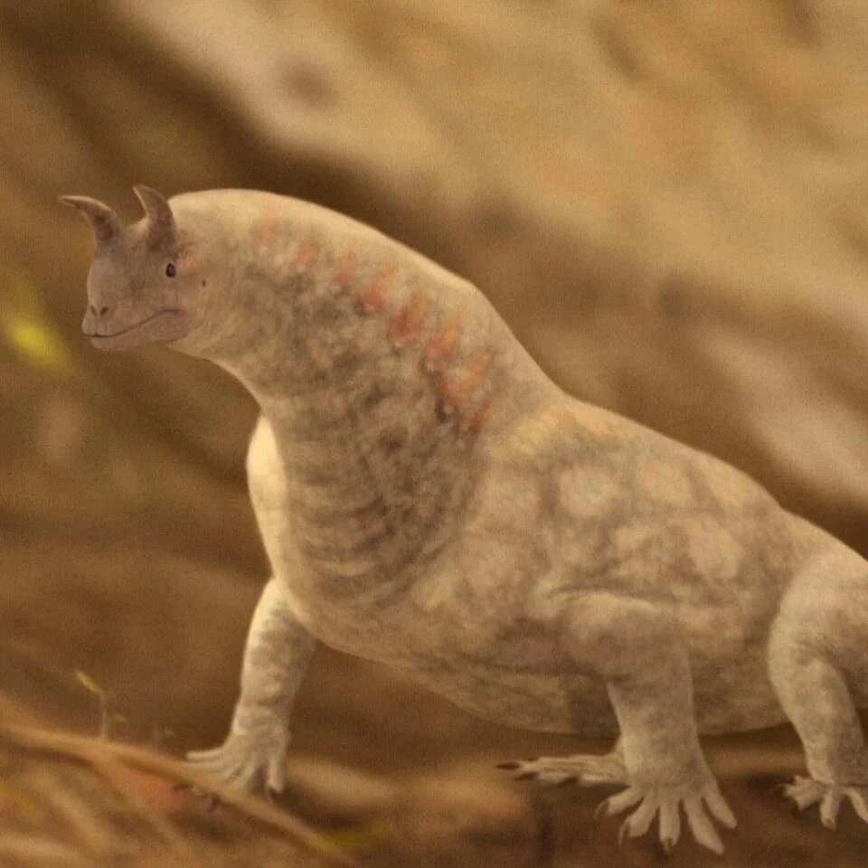 Самый известный представитель среднетриасовых (и не только) аллокотозавров – Шрингазавр.