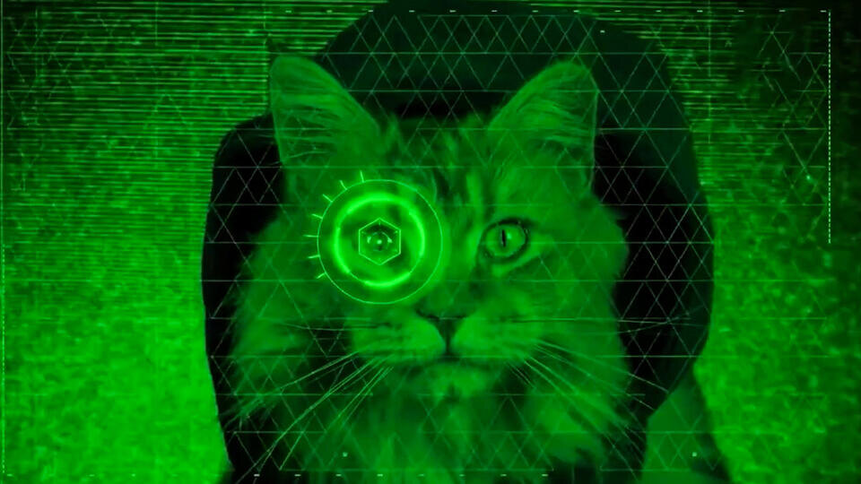 Фото: © Кадр из программы "Загадки человечества", РЕН ТВ