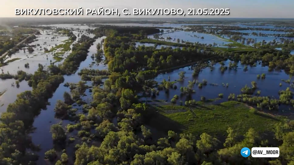 Фото: канал губернатора Тюменской области Александра Моора в Telegram