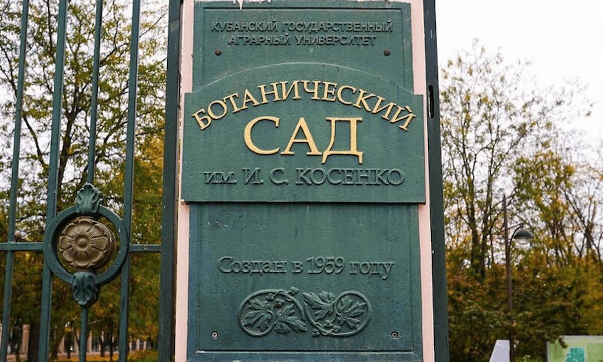    Фото t.me/mcu_krd