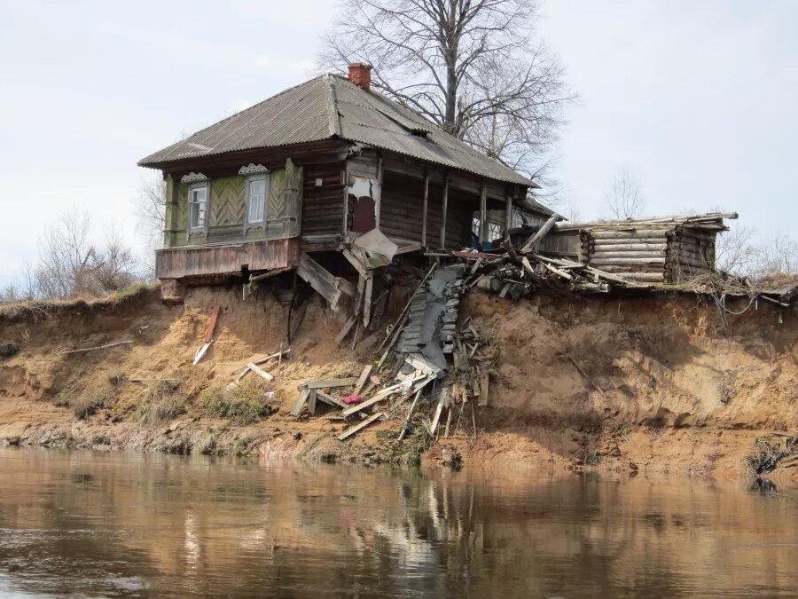 Яндекс Картинки.
