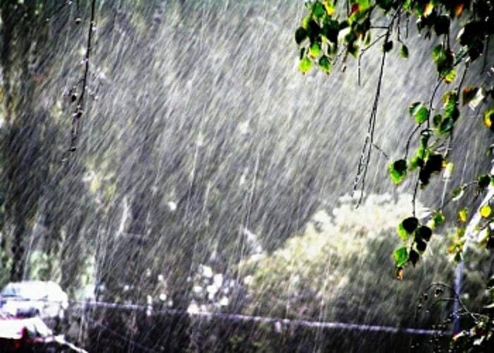 Источник фото: pixabay.com