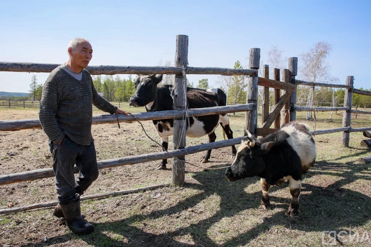 Фото: Саргын Скрябин/ЯСИА