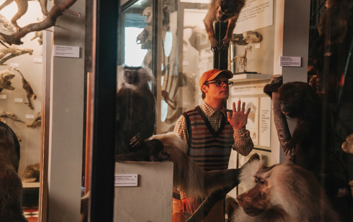 кадр из фильма