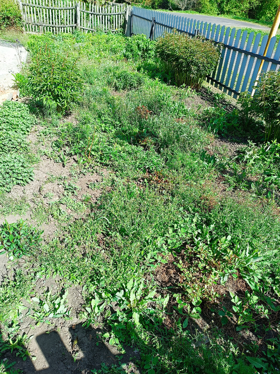 Палисадник ДО