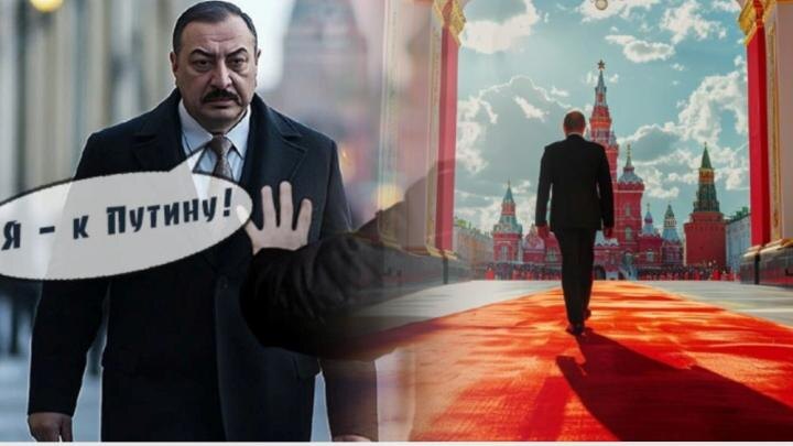 Коллаж NovorosInform