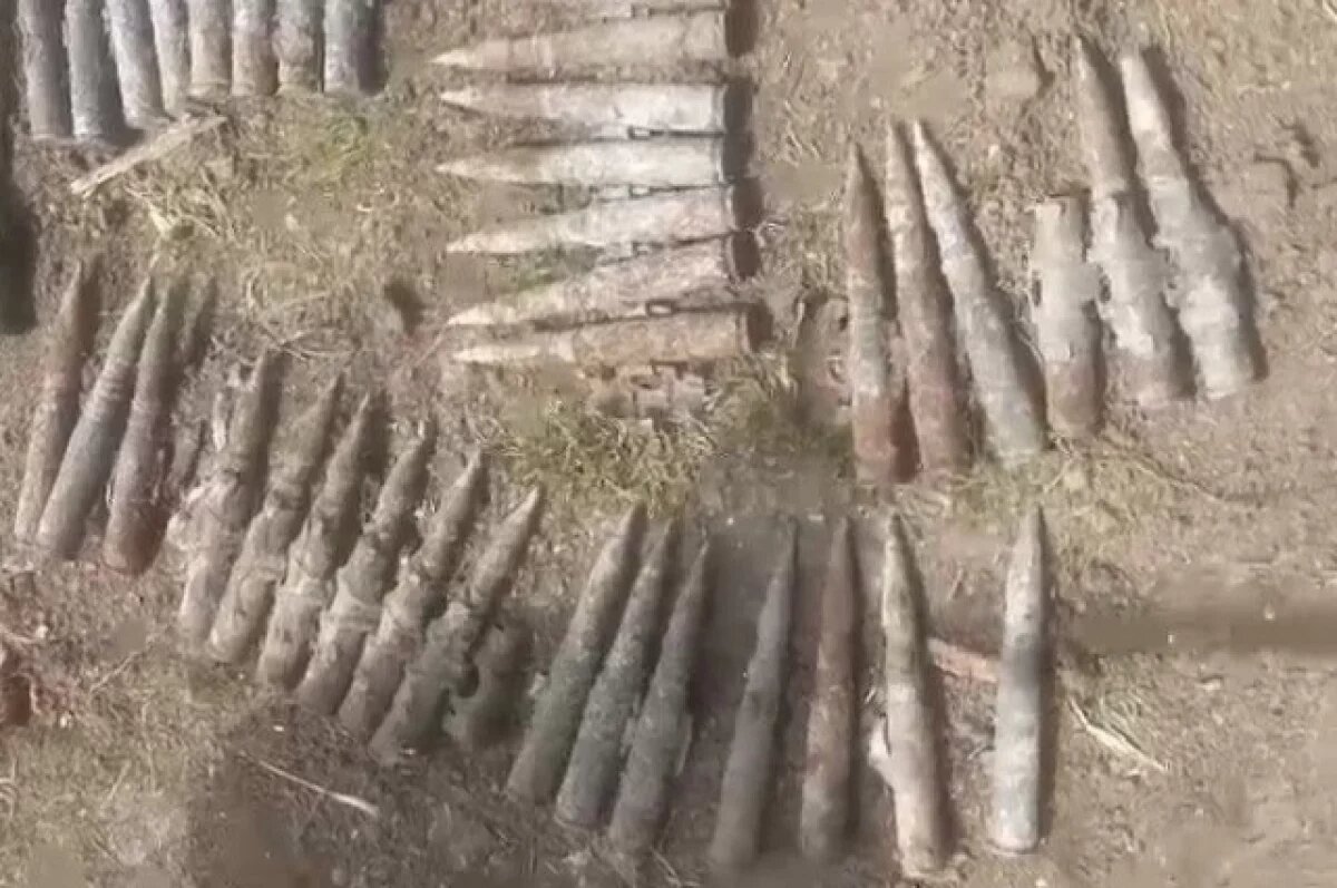    На Кубани уничтожили 70 боеприпасов к зенитной установке