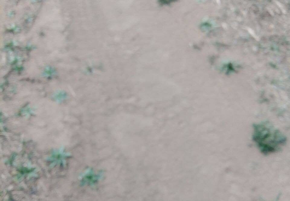    Фото: Администрация Улётовского округа