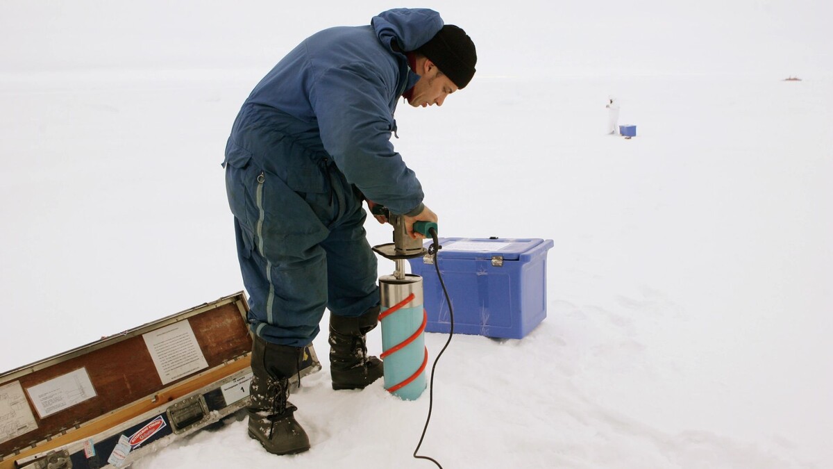    Фото: kojoku/Shutterstock/Fotodom