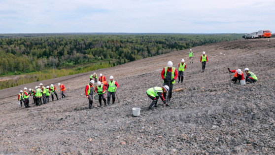    "Кузбассразрезуголь" высадил 60 тысяч деревьев © Пресс-служба АО "УК «Кузбассразрезуголь»"