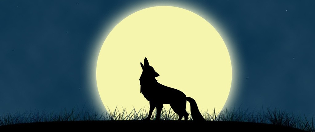 Фото из Яндекса