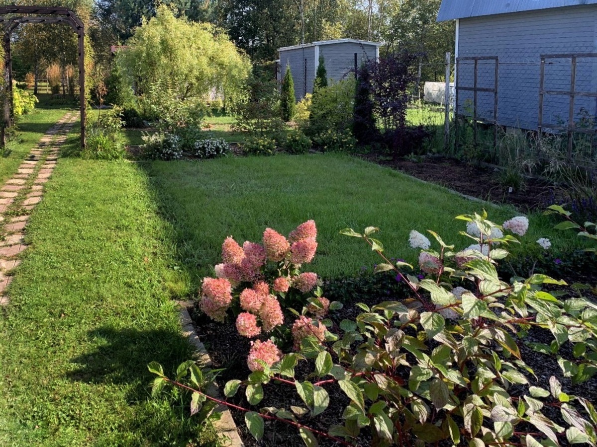 Листайте галерею по стрелке вправо 