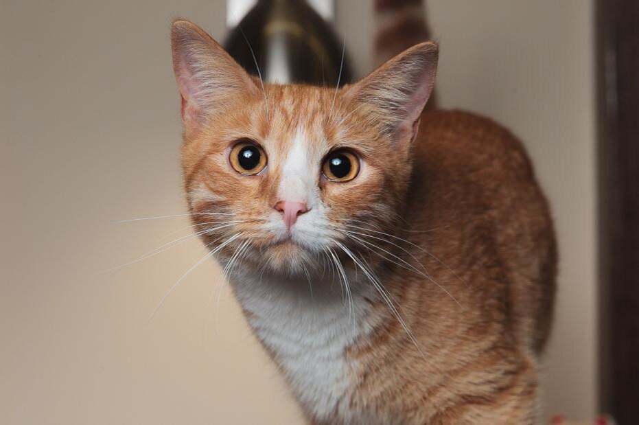    Владислав Шатило/РБК