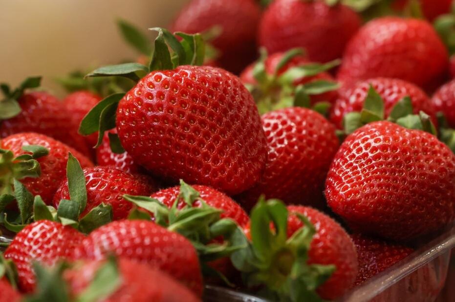    Сергей Петров/NEWS.ru