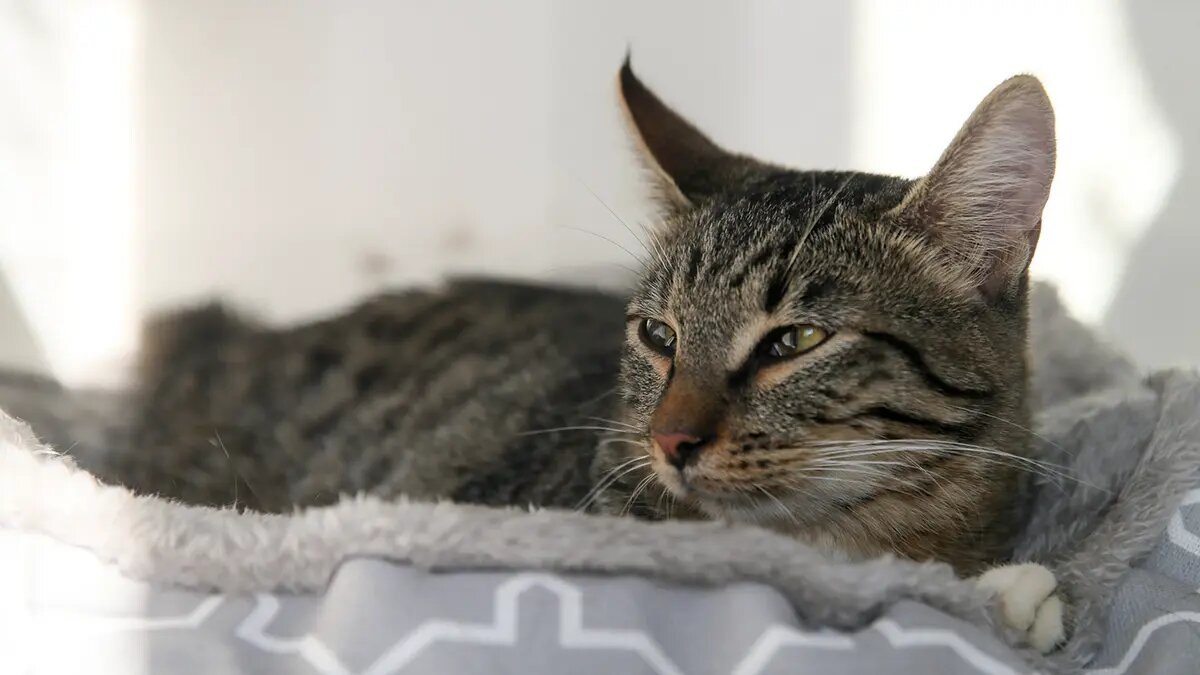    Фото: vm.ru Полина Белоусова