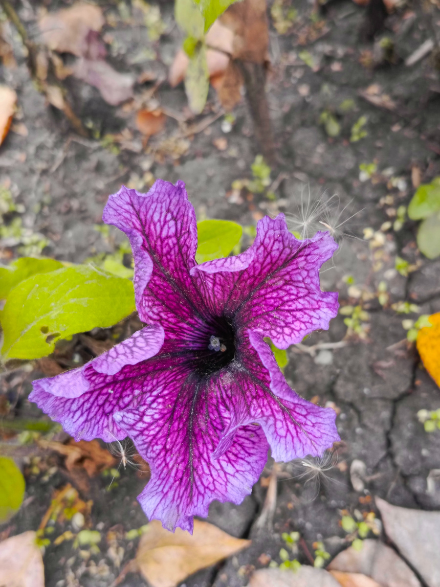 Всем ли удается найти на сайте знакомств хорошего человека. 