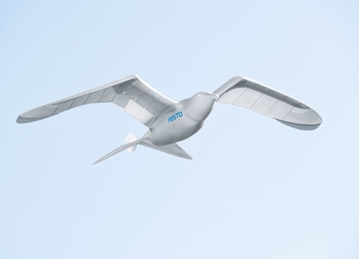 Рисунок 1. SmartBird — немецкая разработка от компании Festo.