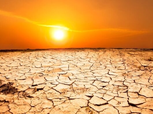    жара // фото: cheltv.ru