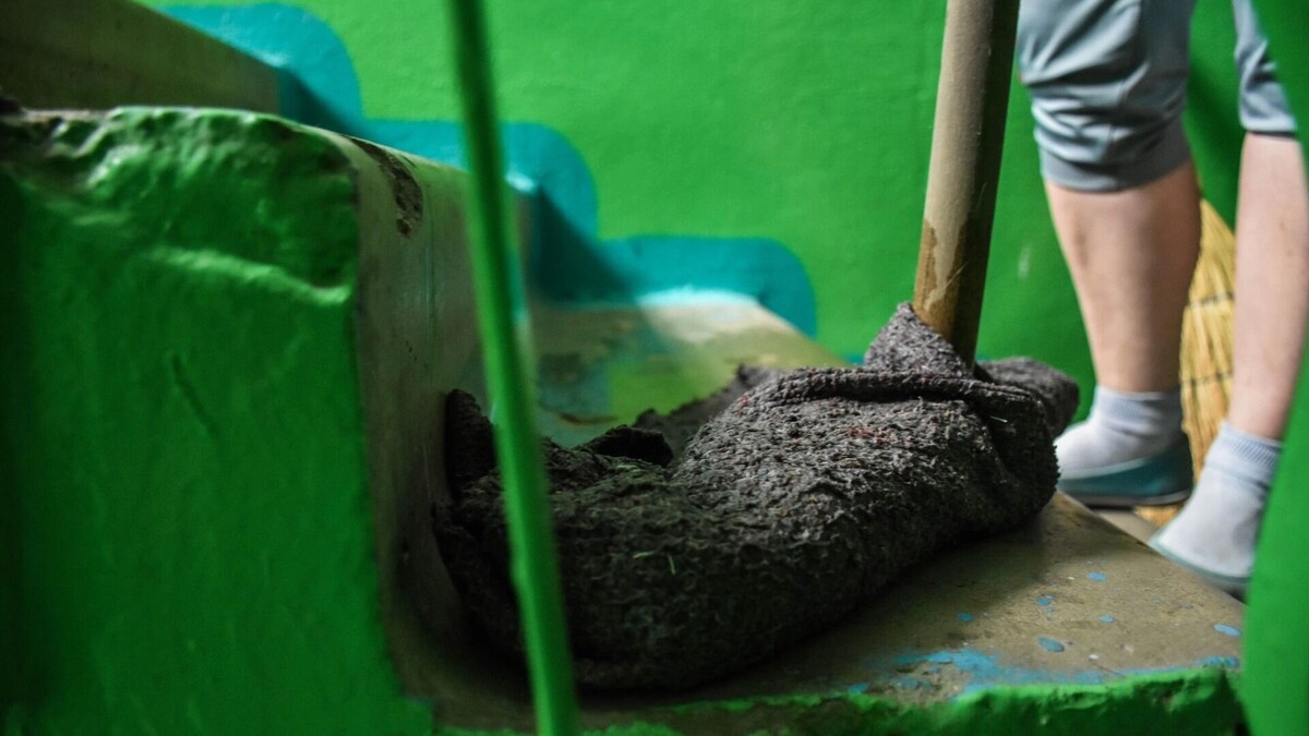     Источник: 1MI