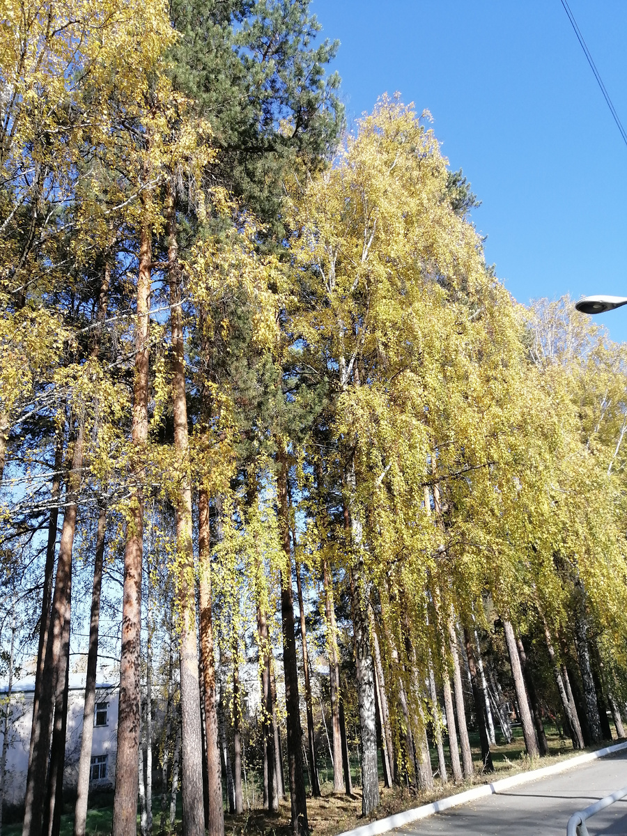 Личное летнее фото. 