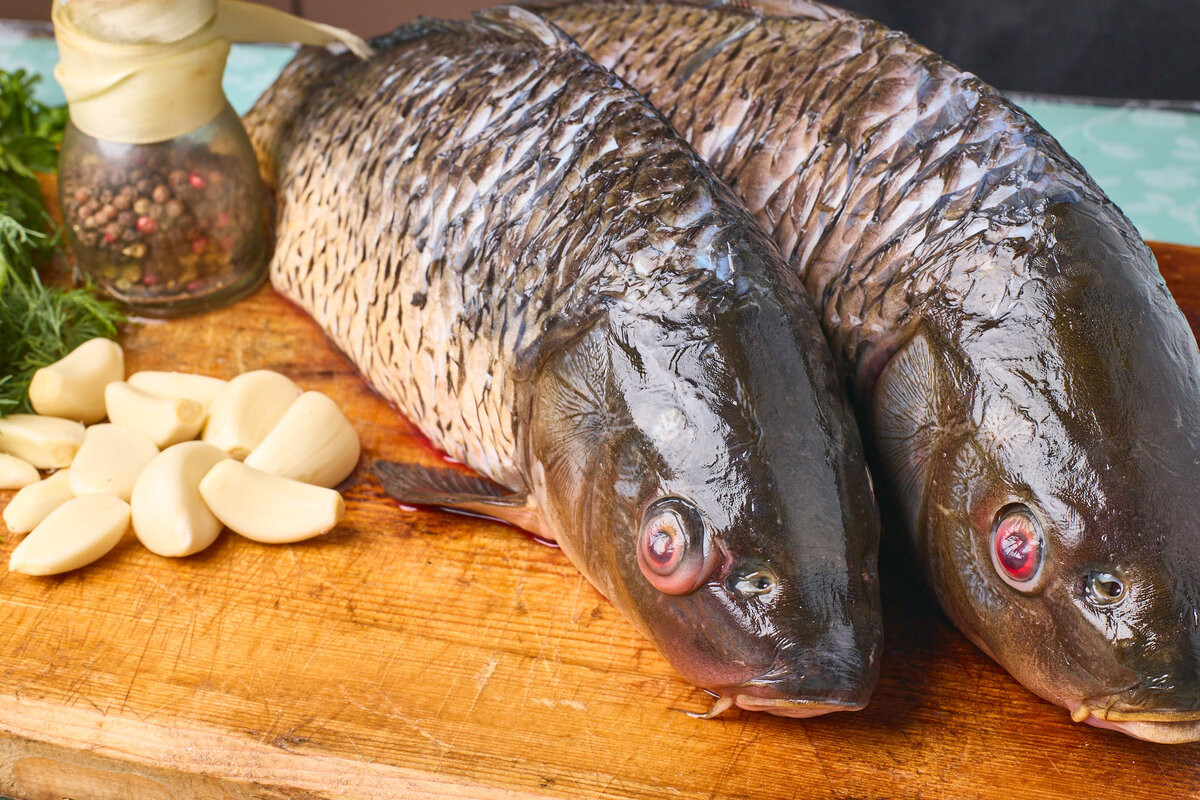 Как готовить сазана на мангале