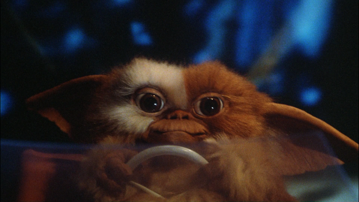 Кадр из фильма Гремлины (1984)