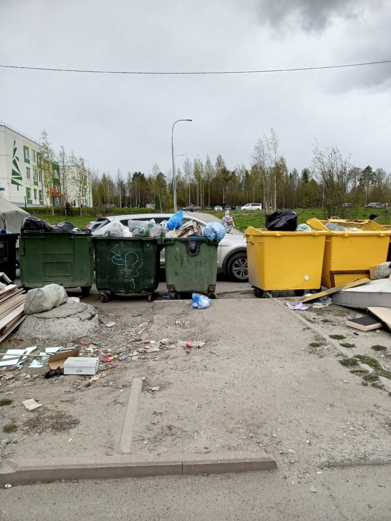    Родители в Петрозаводске по проезжей части водят детей в садик, огибая горы мусорапаблик «Подслушано в ПТЗ | Петрозаводск»