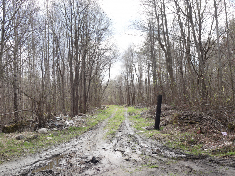    Земля под Wildberries: так не доставайся ж ты никомуМаксим Берштейн